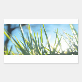 Pegatina Rectangular Blades iluminados por el sol