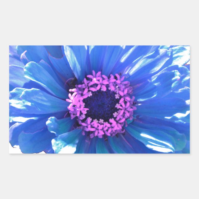 Pegatina Rectangular Blue Daisy (Anverso)