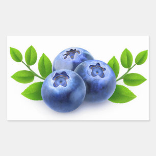 Pegatina Rectangular Blueberries