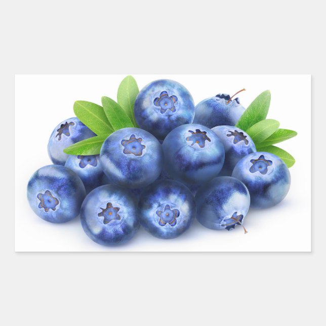 Pegatina Rectangular Blueberries (Anverso)