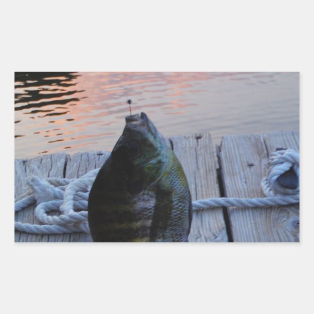 Pegatina Rectangular Bluegill al atardecer Lago Arrowhead (Anverso)