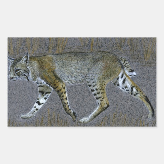 Pegatina Rectangular Bobcat (Anverso)