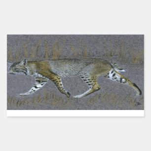 Pegatina Rectangular Bobcat