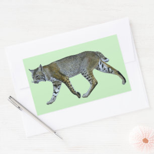 Pegatina Rectangular Bobcat