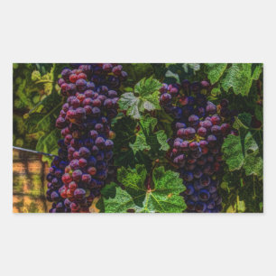 Pegatina Rectangular Bodega Uvas de viñedos grapevine soleado toscano