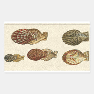 Pegatina Rectangular Bombas antiguas atascadas