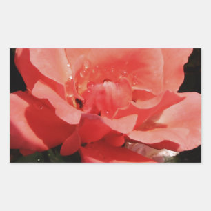 Pegatina Rectangular Bonito Rosa Rosa Rosa floral