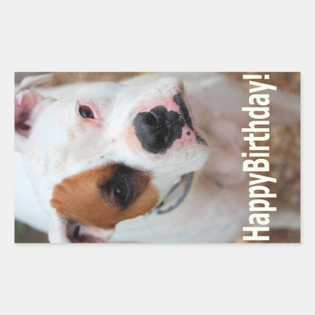 Pegatina Rectangular Boop de cumpleaños (Anverso)