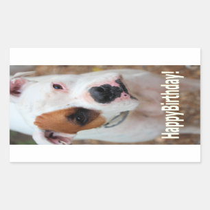 Pegatina Rectangular Boop de cumpleaños