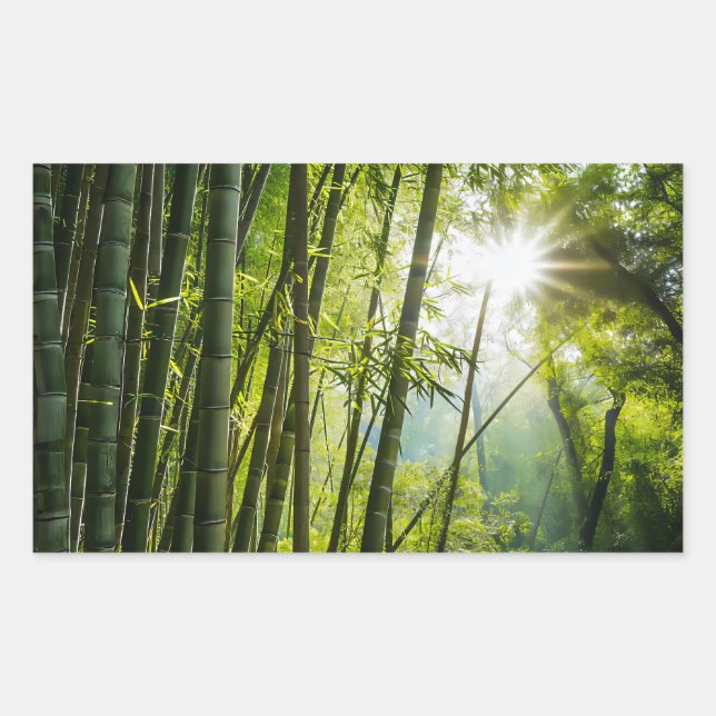 Pegatina Rectangular Bosque de Bambú (Anverso)