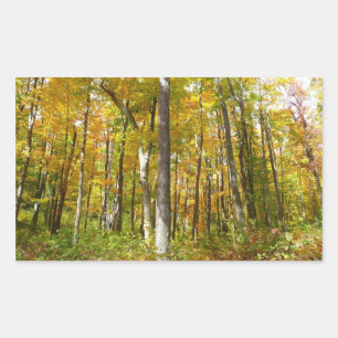 Pegatina Rectangular Bosque de Hojas Amarillas Paisaje de Otoño