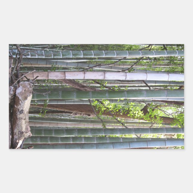 Pegatina Rectangular Bosque japonés gigante de bambú, Sagano, Kioto, Ja (Anverso)