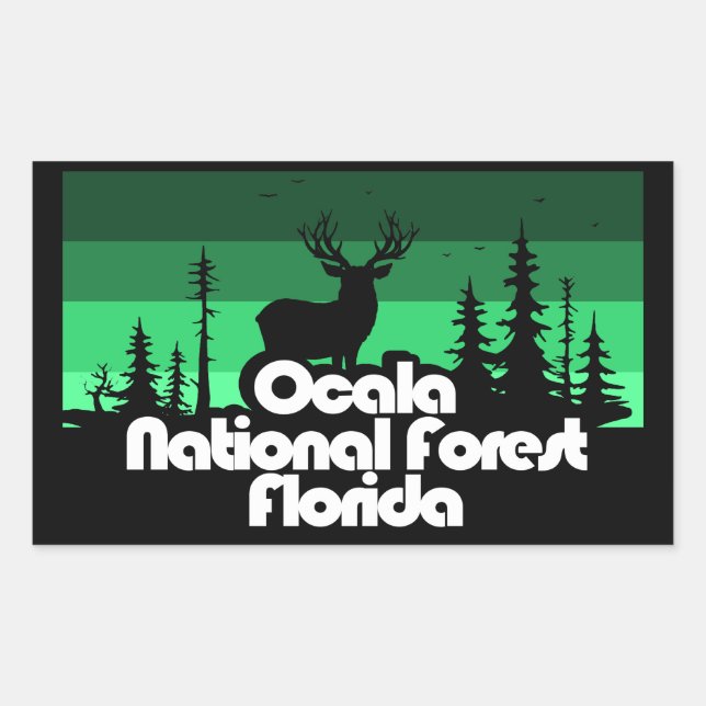Pegatina Rectangular Bosque nacional de Ocala Florida (Anverso)