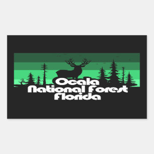 Pegatina Rectangular Bosque nacional de Ocala Florida