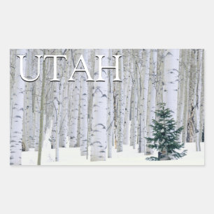 Pegatina Rectangular Bosque Nacional Manti-LaSal, Utah