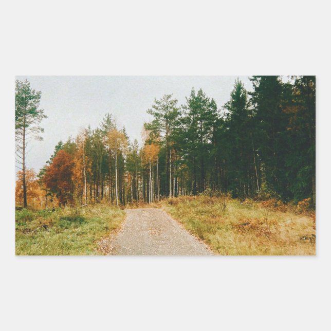 Pegatina Rectangular Bosque otoñal sueco (Anverso)