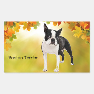 Pegatina Rectangular Boston Terrier blanco y negro