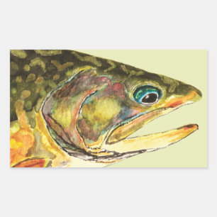 Pegatina Rectangular Brook Trout Fisherman