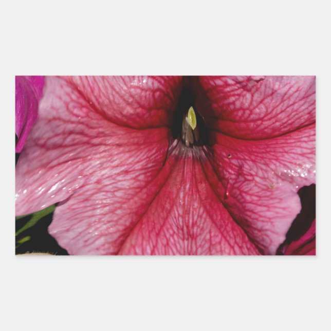 Pegatina Rectangular Brote floral (Anverso)