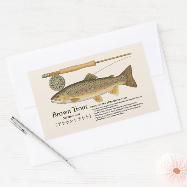 Pegatina Rectangular Brown Trout (Salmo trutta) – English Illust (Sobre)