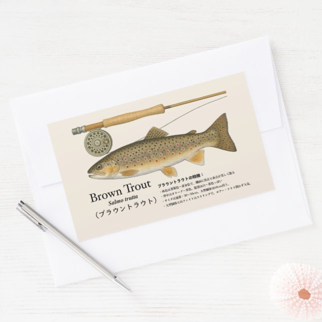 Pegatina Rectangular Brown Trout (Salmo trutta) – Japanese Illust (Sobre)