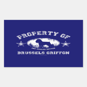 Pegatina Rectangular Bruselas Griffon