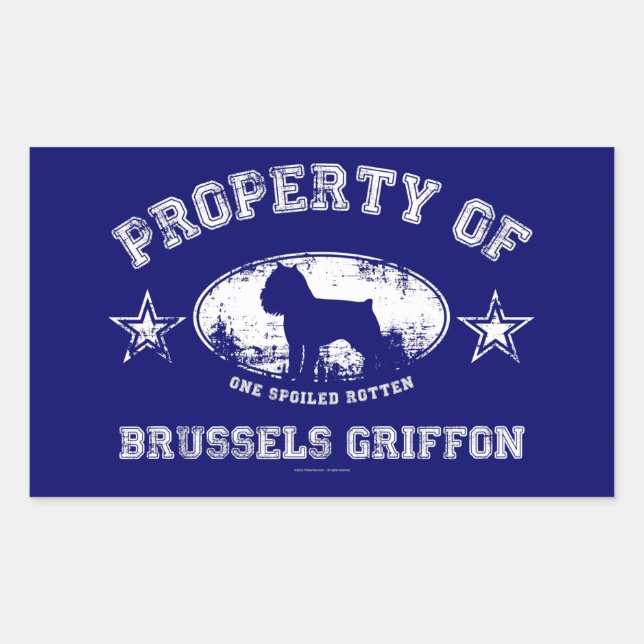 Pegatina Rectangular Brussels Griffon (Anverso)