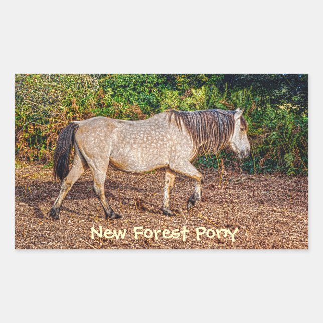 Pegatina Rectangular Buckskin New Forest Pony Wildlife (Anverso)