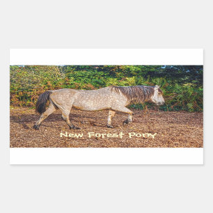 Pegatina Rectangular Buckskin New Forest Pony Wildlife