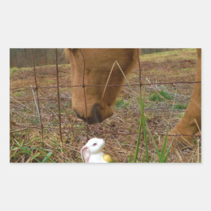 Pegatina Rectangular Buey y flor de primavera Bunny