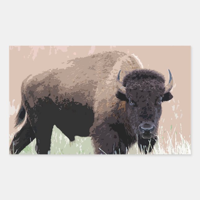 Pegatina Rectangular Búfalo / Bison (Anverso)