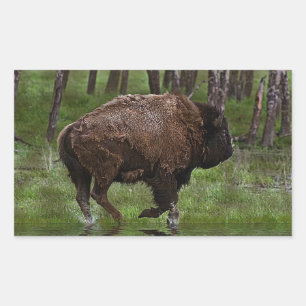 Pegatina Rectangular Búfalo y bosque en funcionamiento, diseño de Bison