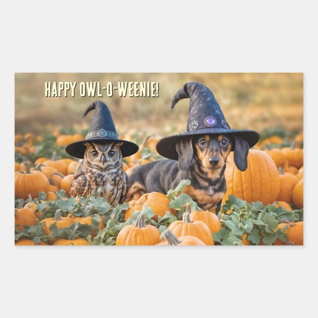 Pegatina Rectangular Búho y perro salchicha Dachshund Halloween diverti (Anverso)