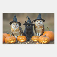 Búhos de Halloween y gato negro Jack O Lantern