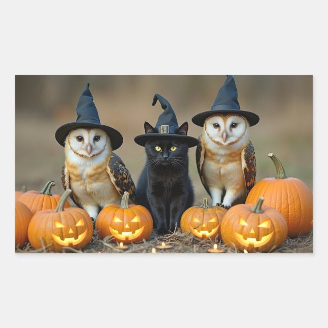 Pegatina Rectangular Búhos de Halloween y gato negro Jack O Lantern (Anverso)