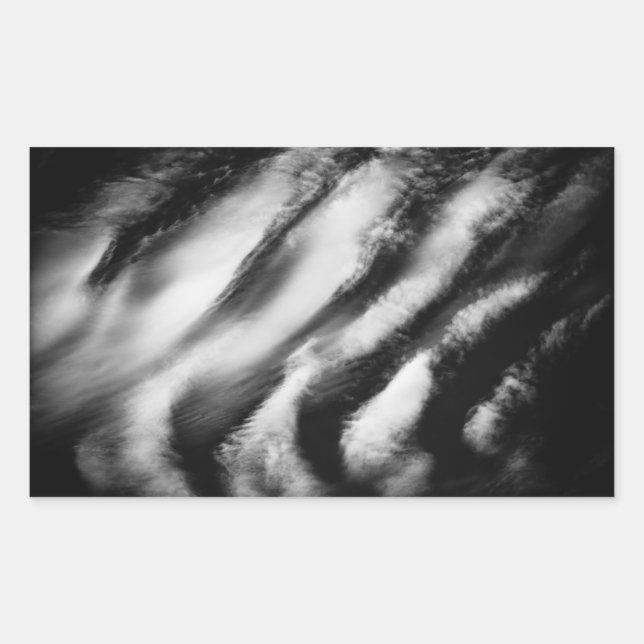 Pegatina Rectangular buitres caídos (Anverso)