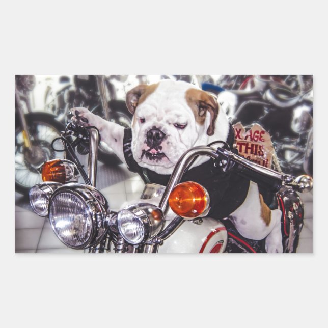 Pegatina Rectangular Bulldog en motocicleta (Anverso)