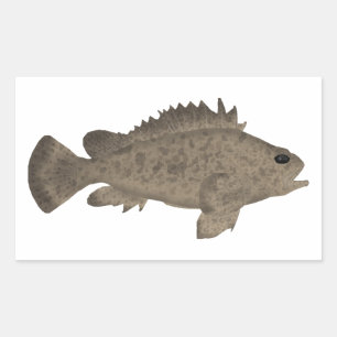 Pegatina Rectangular Bullrout