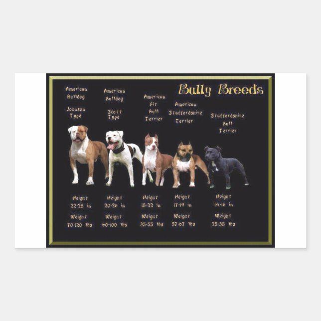 Pegatina Rectangular Bully Breeds (Anverso)