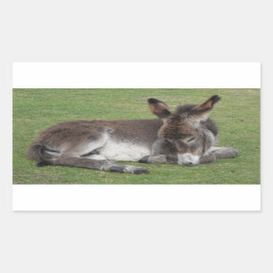 Pegatina Rectangular Burro de chocolate lindo bebé folios durmiendo