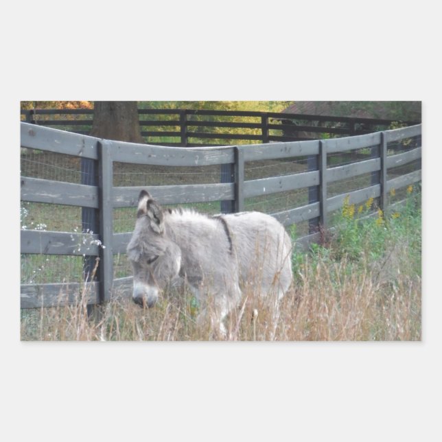 Pegatina Rectangular Burro en un campo otoñal (Anverso)