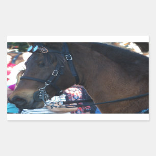 Pegatina Rectangular Caballo árabe marrón oscuro con gafas