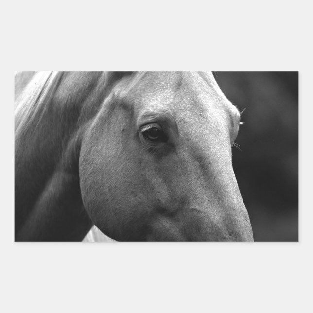 Pegatina Rectangular Caballo blanco negro (Anverso)