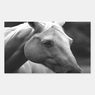 Pegatina Rectangular Caballo blanco negro