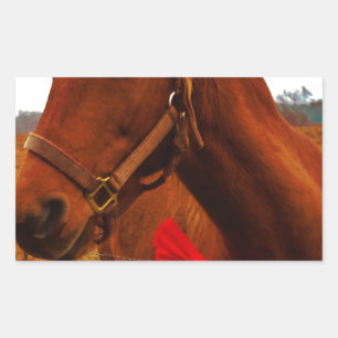 Pegatina Rectangular Caballo con arco rojo