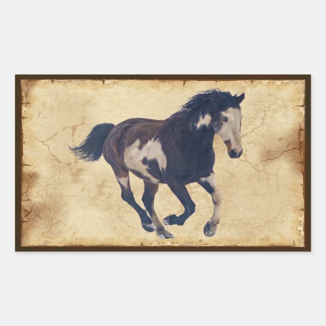 Pegatina Rectangular Caballo de pintura Pinto americano de Galloping Wi (Anverso)