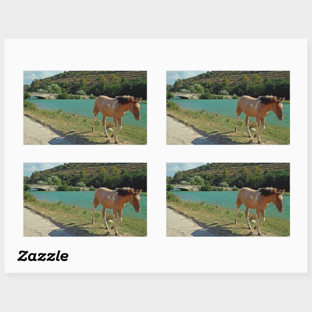 Pegatina Rectangular Caballo de Sicilia (Hoja)