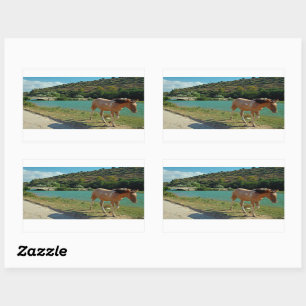 Pegatina Rectangular Caballo de Sicilia