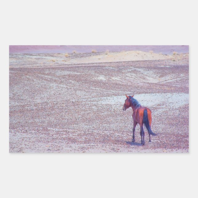 Pegatina Rectangular Caballo desierto P8640 (Anverso)