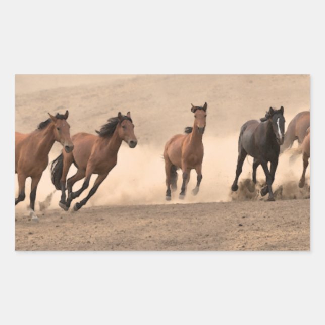 Pegatina Rectangular Caballo en otoño II (Anverso)